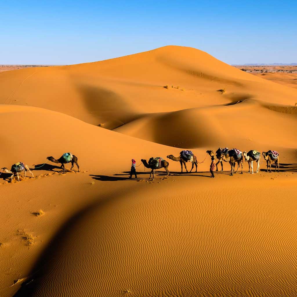 camel trekking abu dhabi